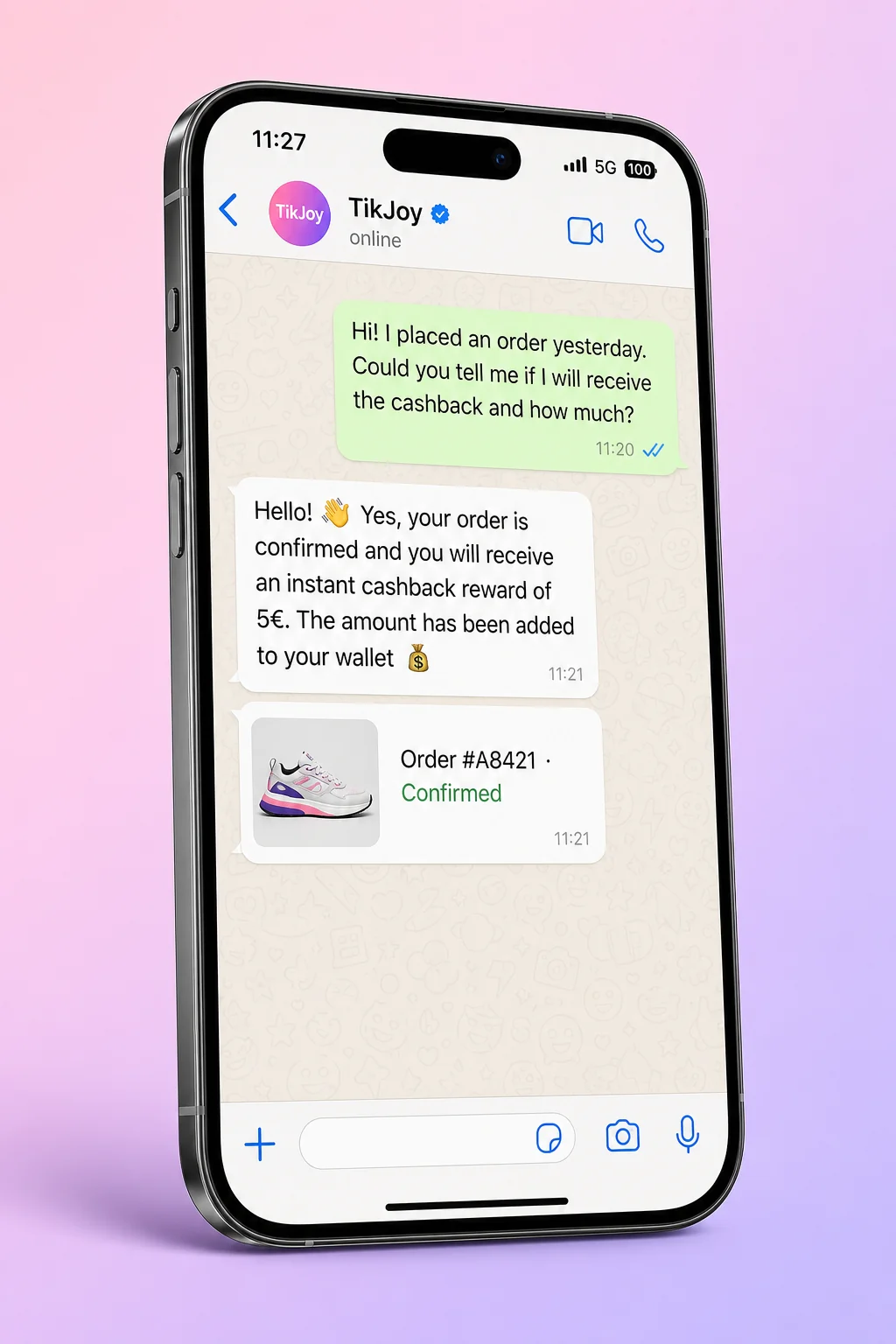 WhatsApp chat between a viewer and a brand started after watching a TikJoy video